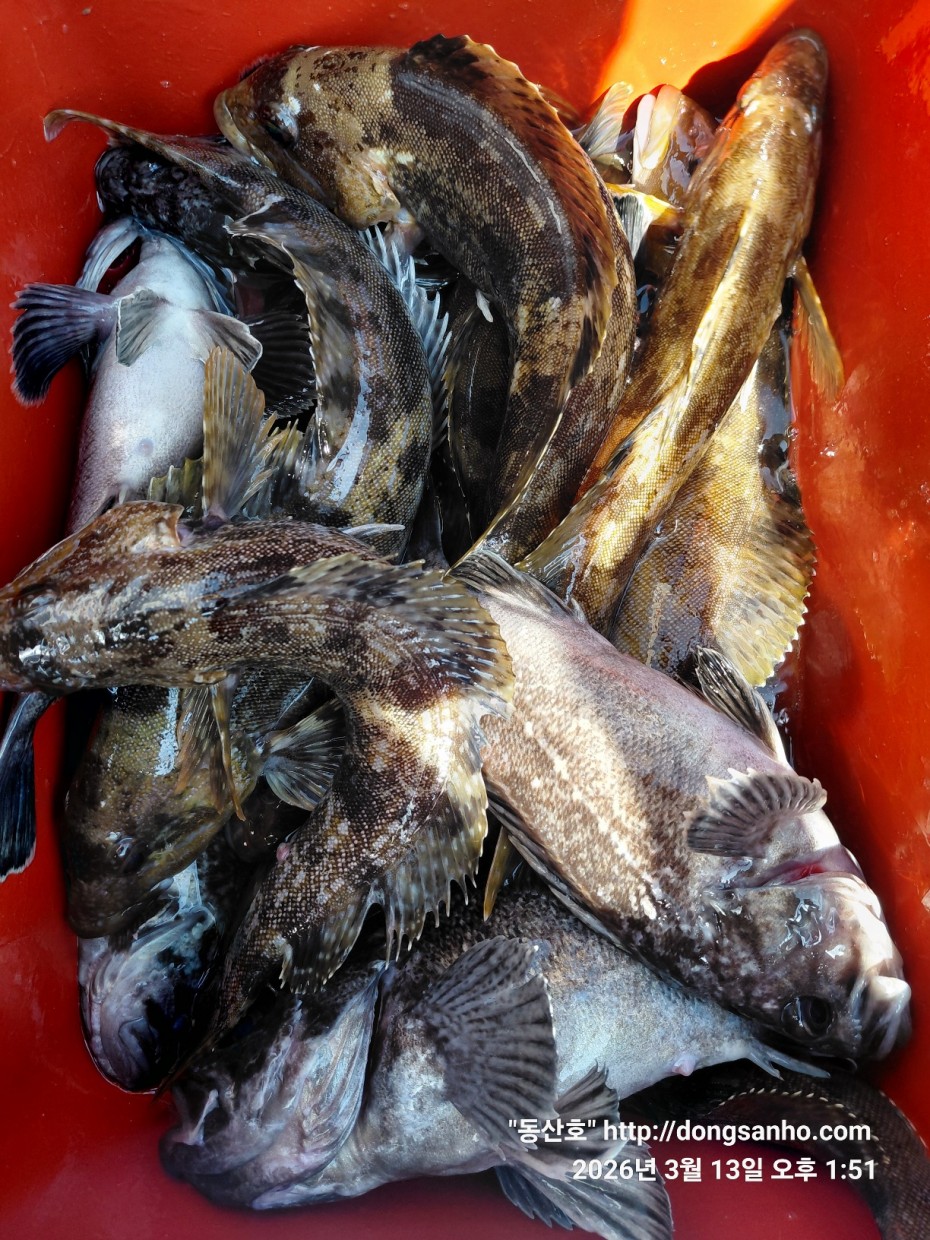 8071bcb8f0a16b6f4969e02e5d1cab3c_1773532