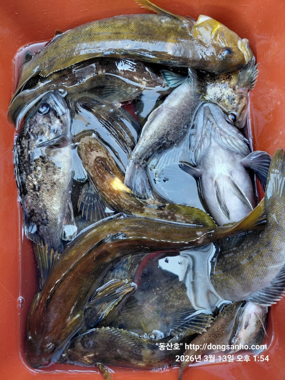 8071bcb8f0a16b6f4969e02e5d1cab3c_1773532