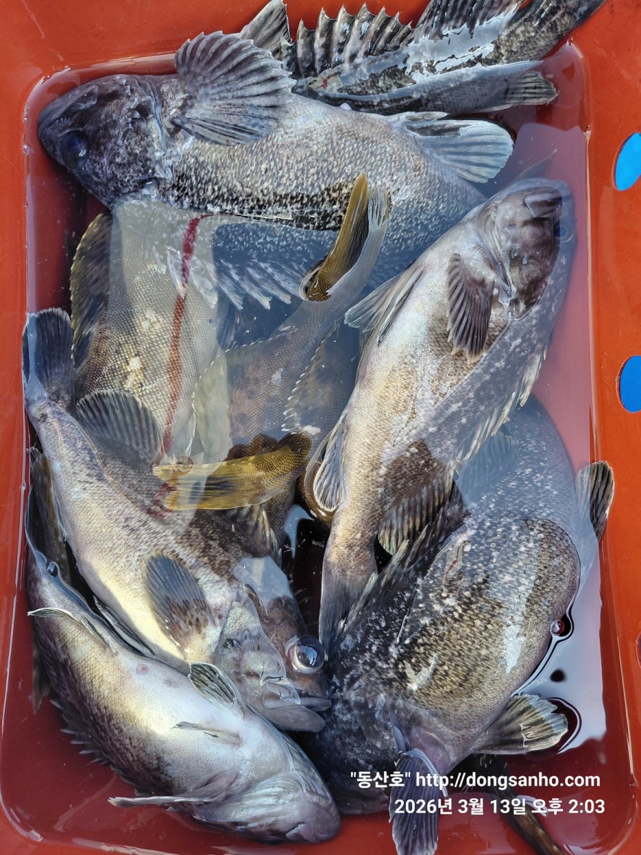 8071bcb8f0a16b6f4969e02e5d1cab3c_1773532