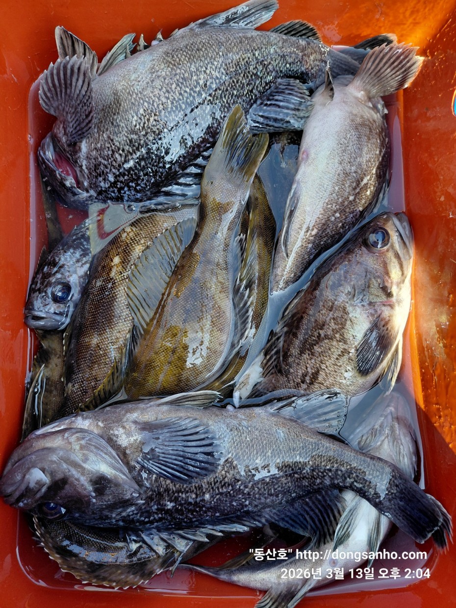 8071bcb8f0a16b6f4969e02e5d1cab3c_1773532