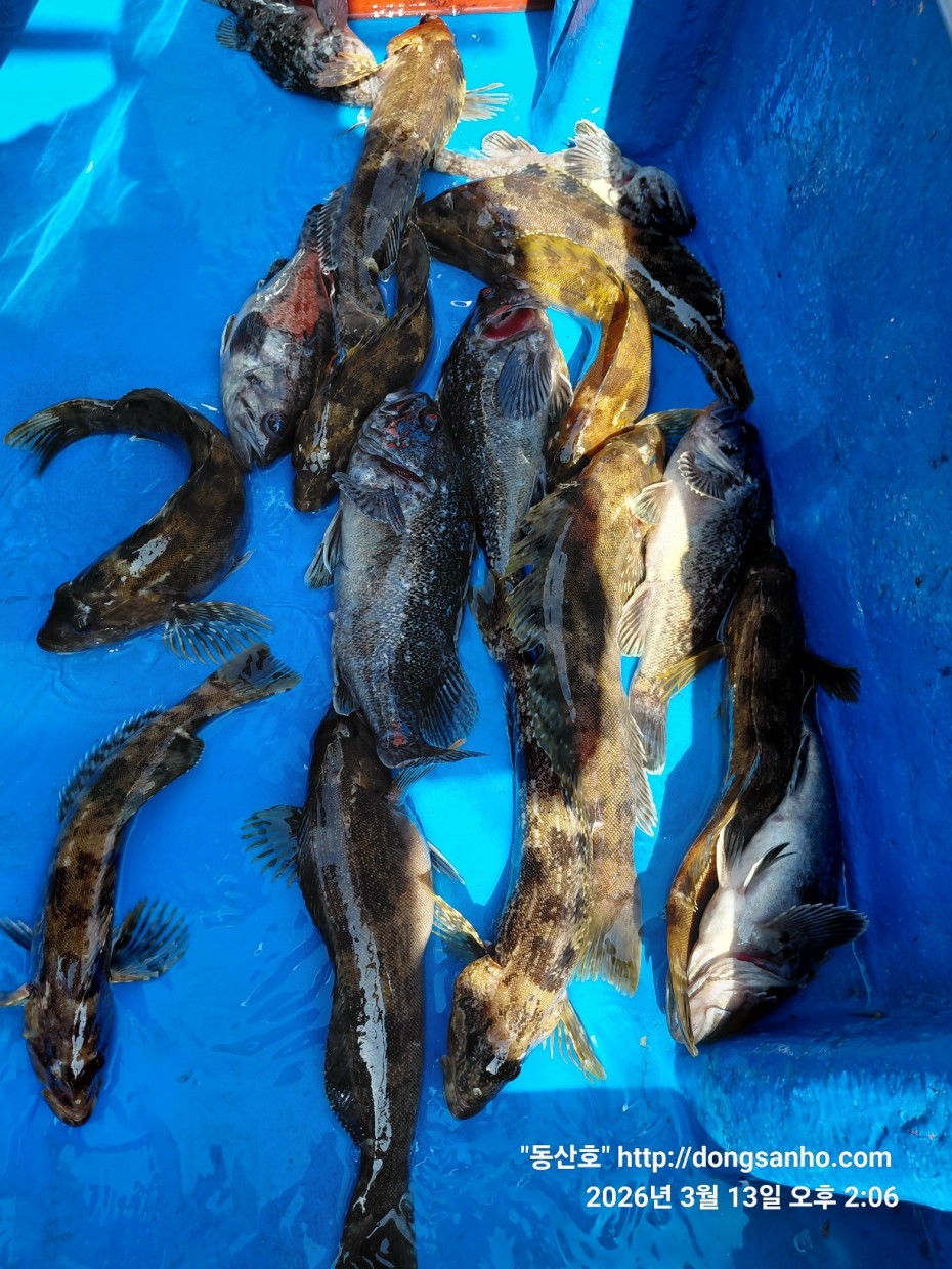 8071bcb8f0a16b6f4969e02e5d1cab3c_1773532