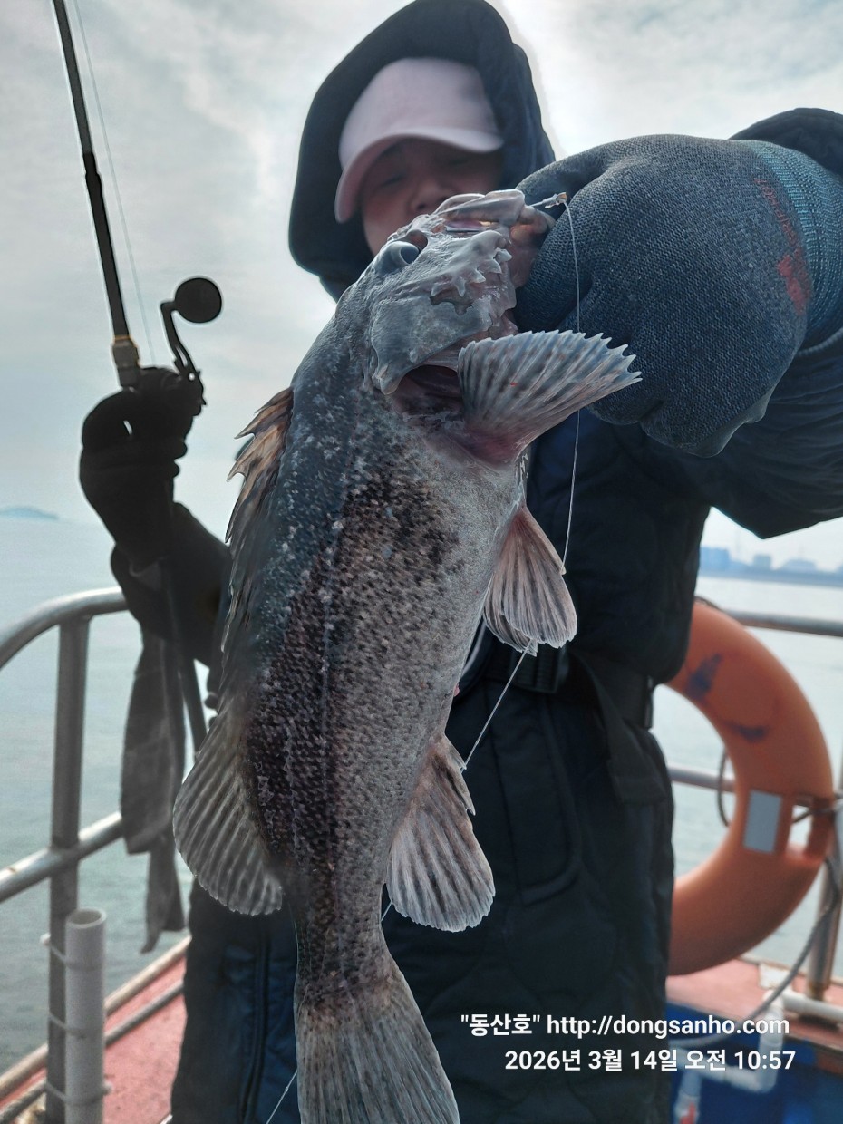 8071bcb8f0a16b6f4969e02e5d1cab3c_1773533