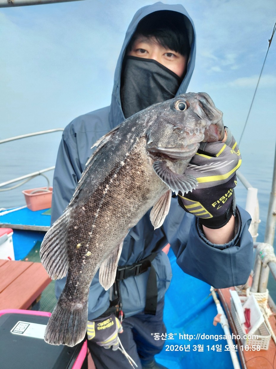 8071bcb8f0a16b6f4969e02e5d1cab3c_1773533