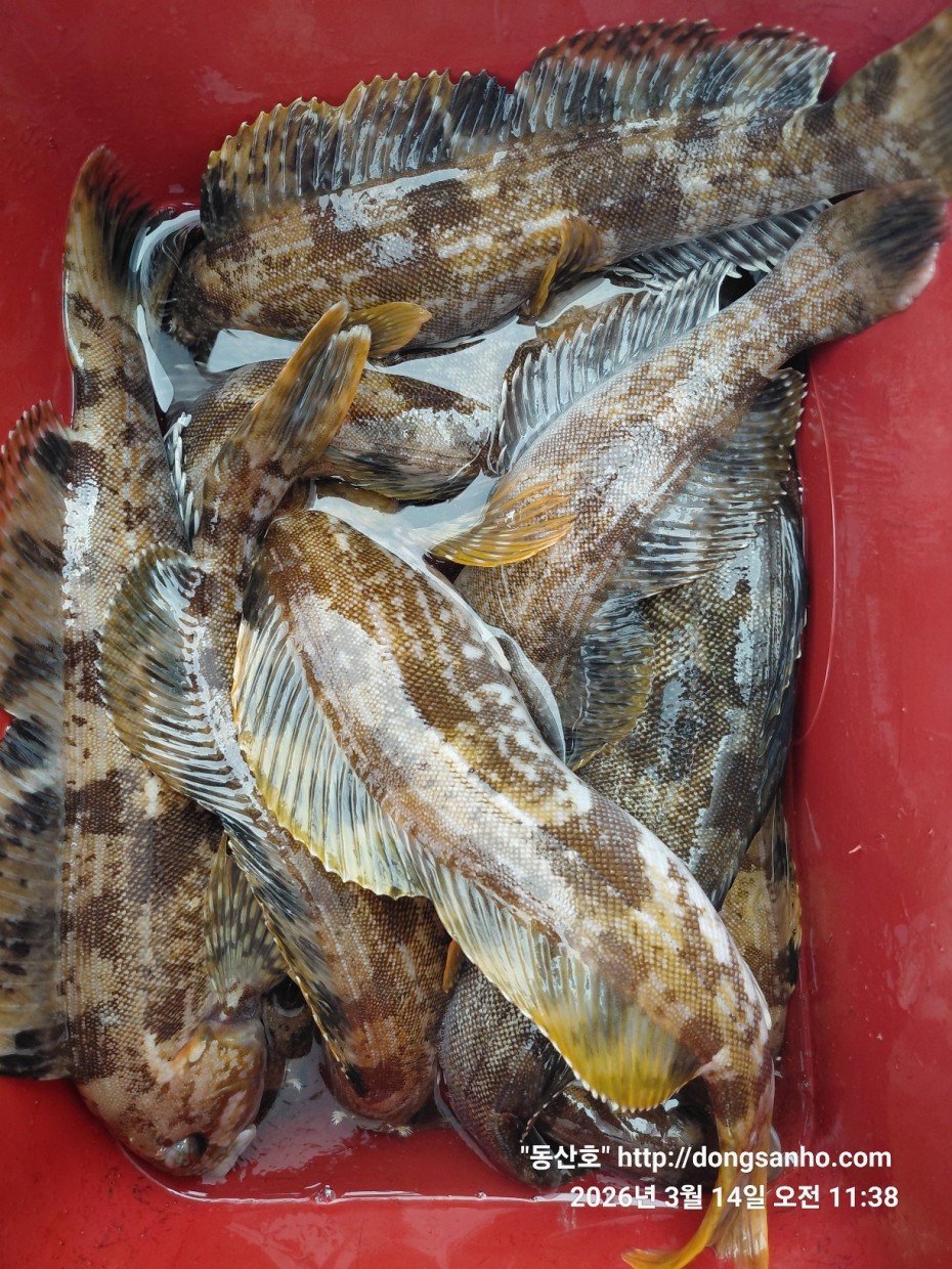 8071bcb8f0a16b6f4969e02e5d1cab3c_1773533