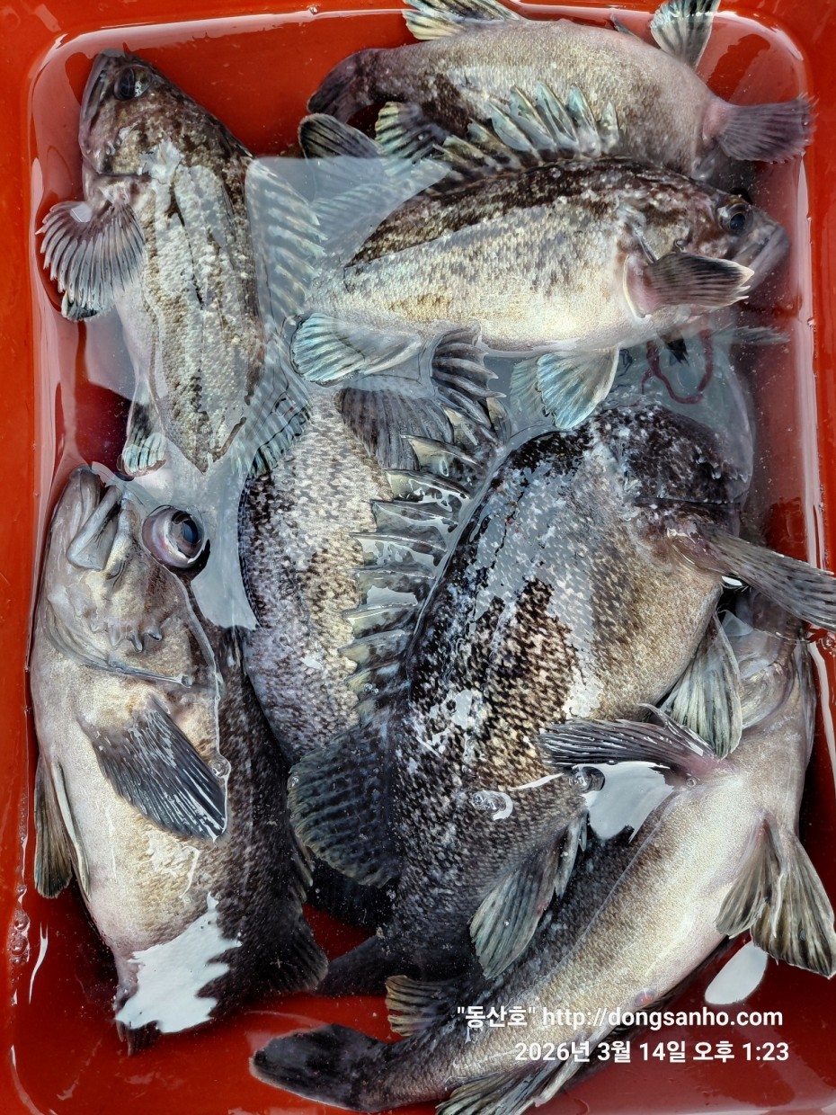 8071bcb8f0a16b6f4969e02e5d1cab3c_1773533