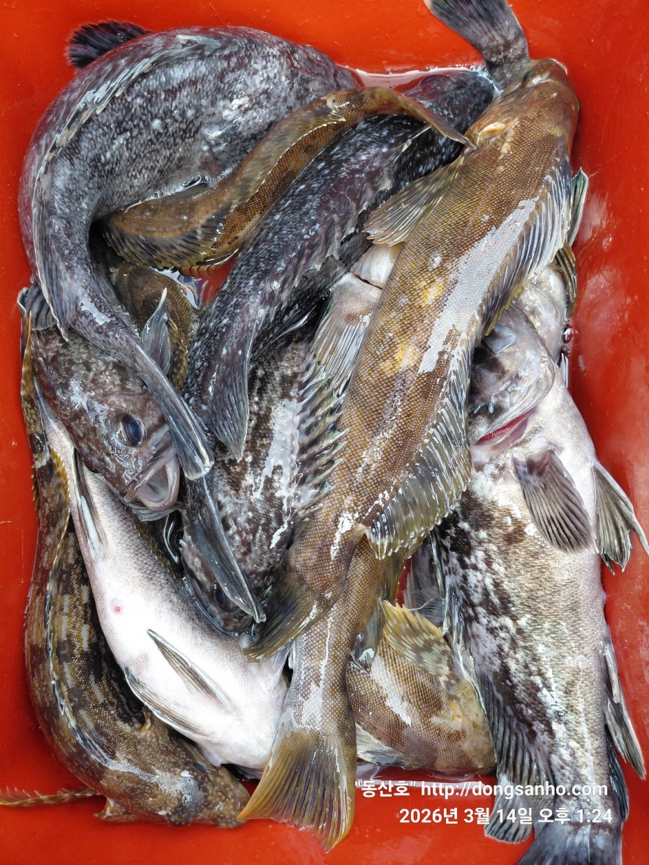 8071bcb8f0a16b6f4969e02e5d1cab3c_1773533