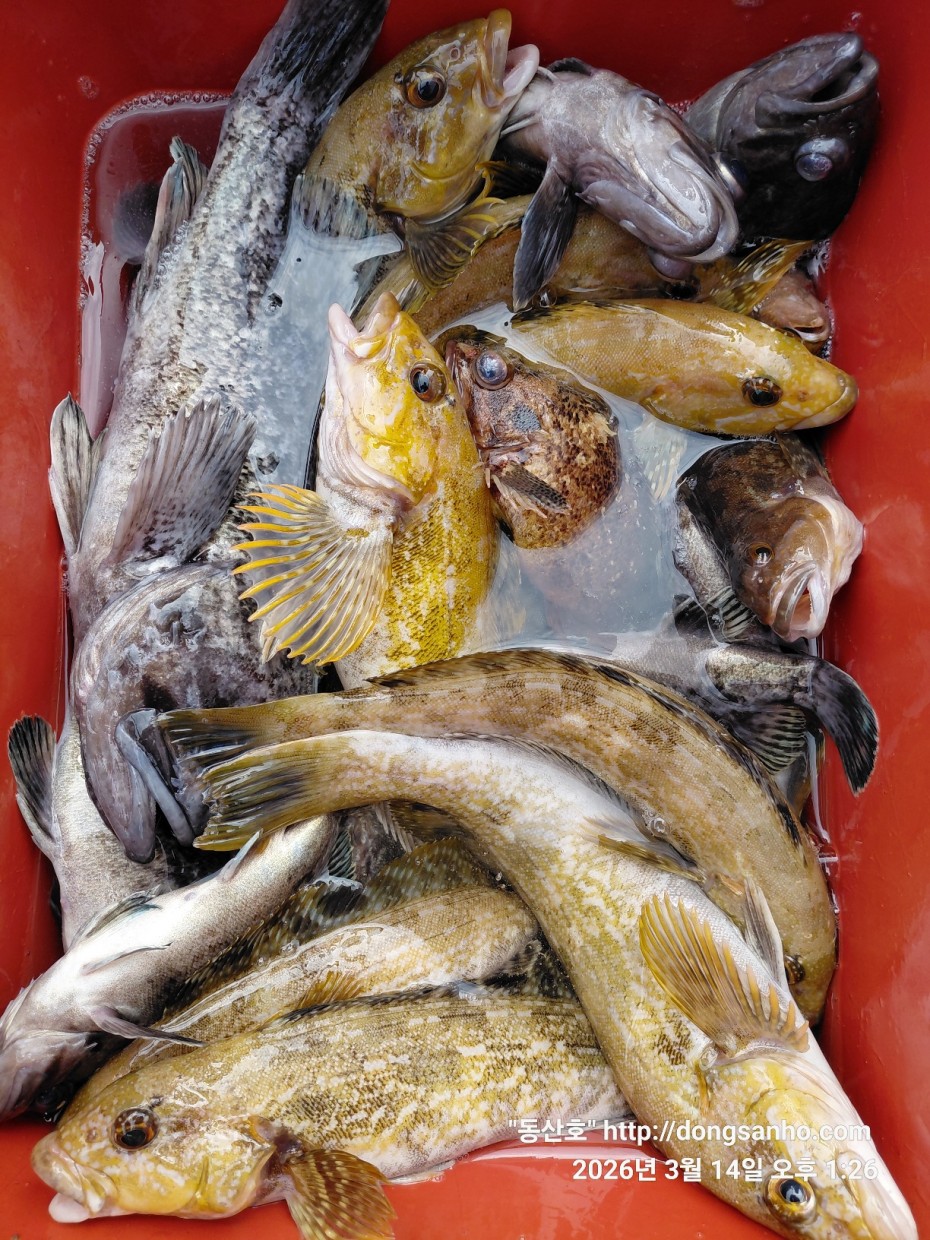 8071bcb8f0a16b6f4969e02e5d1cab3c_1773533