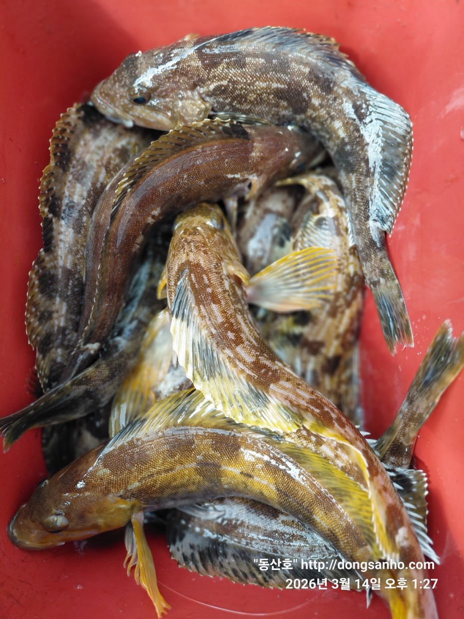 8071bcb8f0a16b6f4969e02e5d1cab3c_1773533