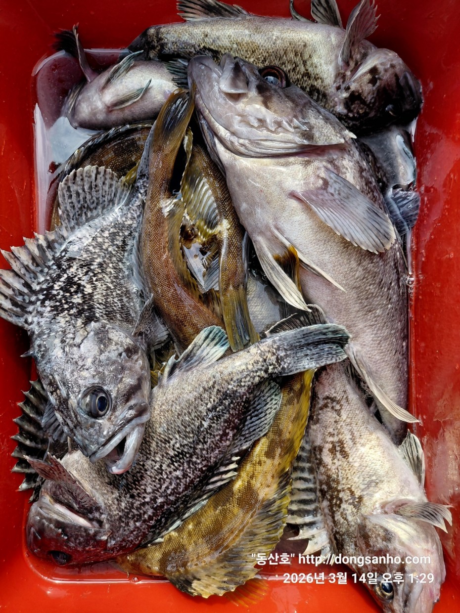 8071bcb8f0a16b6f4969e02e5d1cab3c_1773533