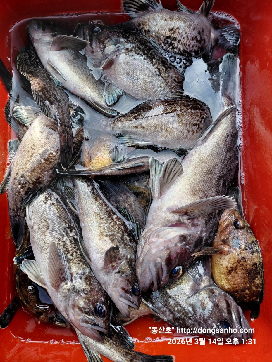 8071bcb8f0a16b6f4969e02e5d1cab3c_1773533