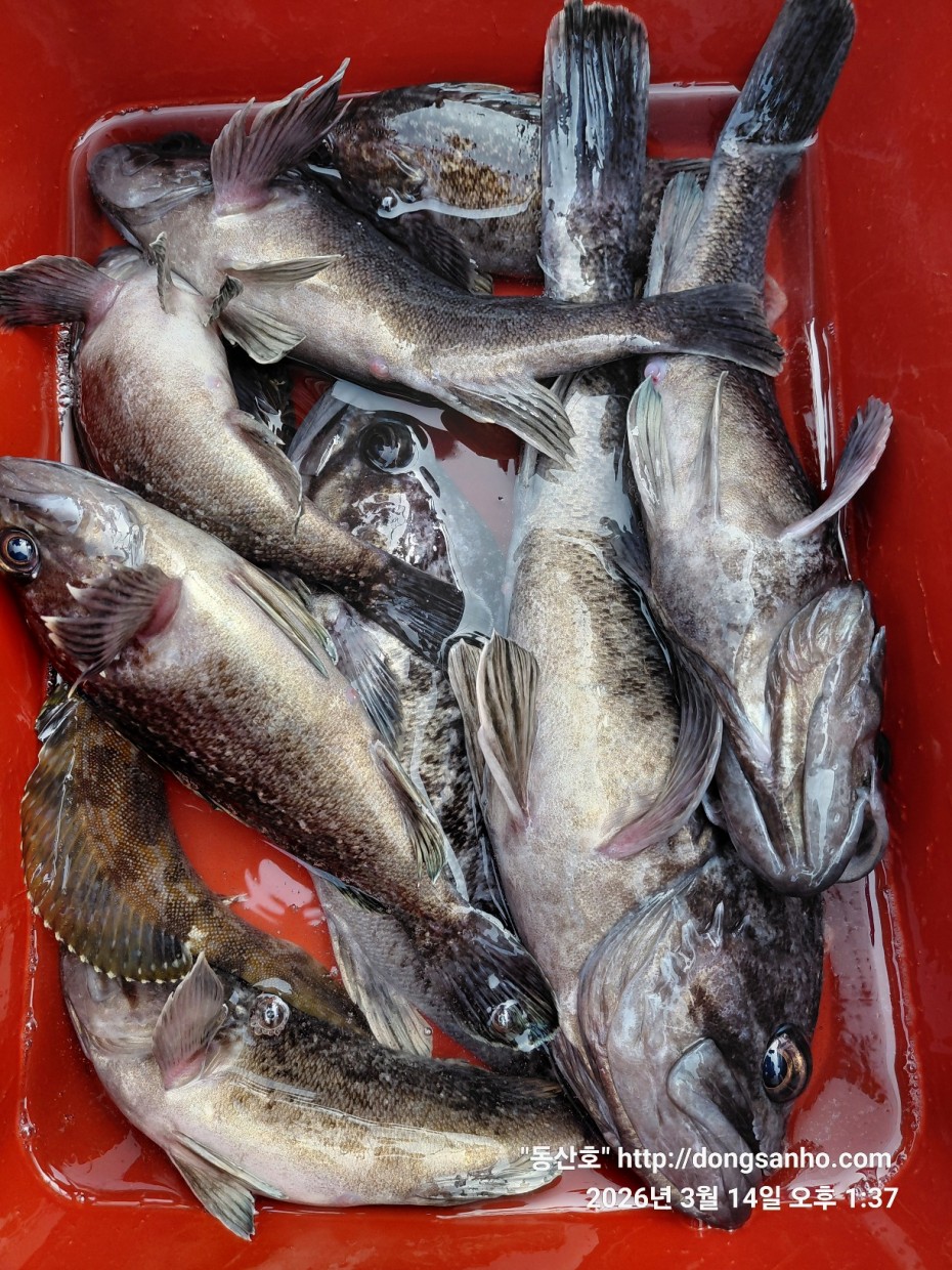 8071bcb8f0a16b6f4969e02e5d1cab3c_1773533