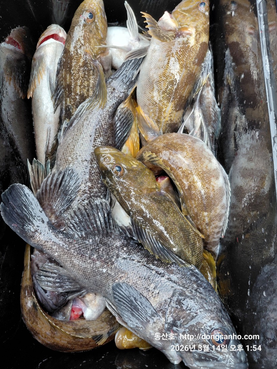 8071bcb8f0a16b6f4969e02e5d1cab3c_1773533