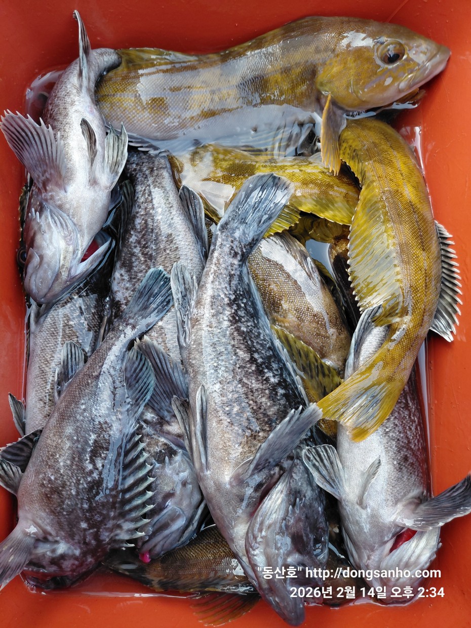 be9d0e18f39ad6e5583c32dbec4840cc_1773089