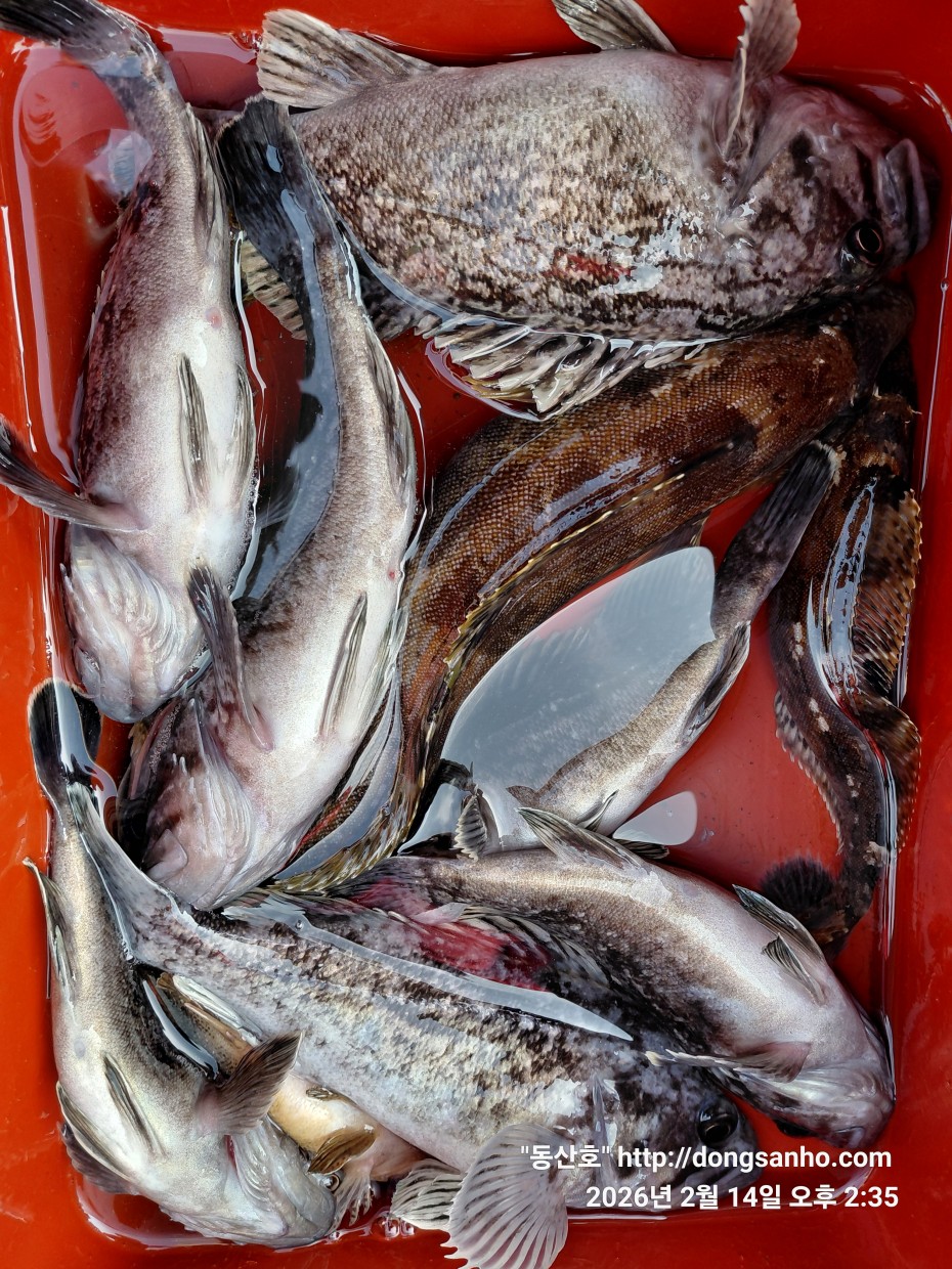 be9d0e18f39ad6e5583c32dbec4840cc_1773089