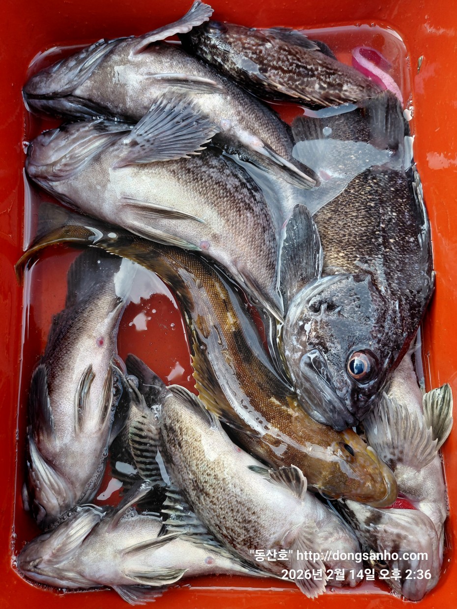 be9d0e18f39ad6e5583c32dbec4840cc_1773089