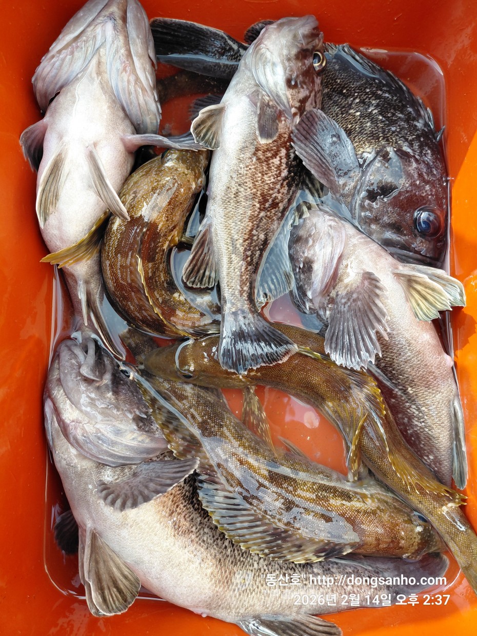 be9d0e18f39ad6e5583c32dbec4840cc_1773089