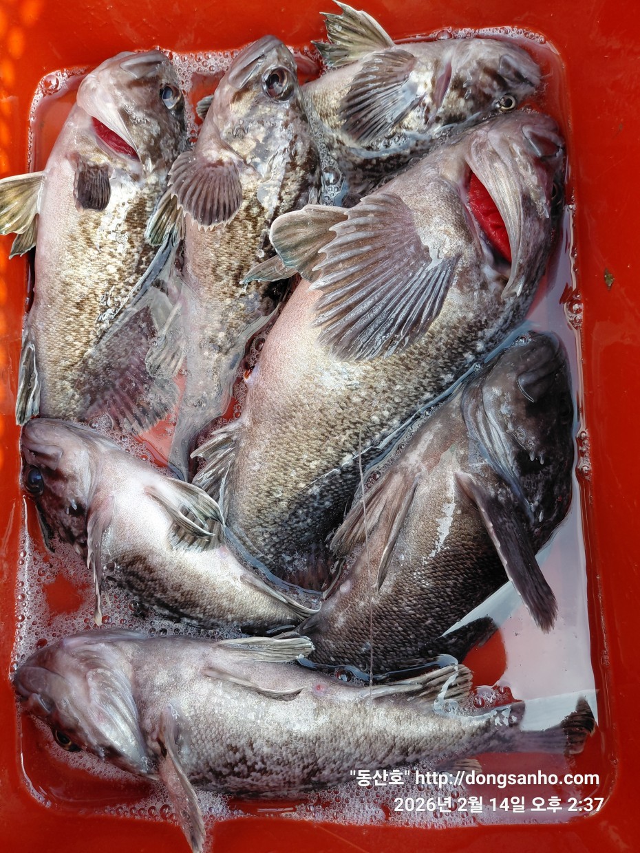 be9d0e18f39ad6e5583c32dbec4840cc_1773089