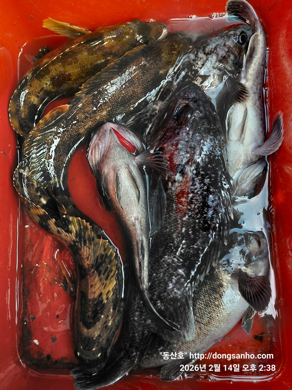 be9d0e18f39ad6e5583c32dbec4840cc_1773089