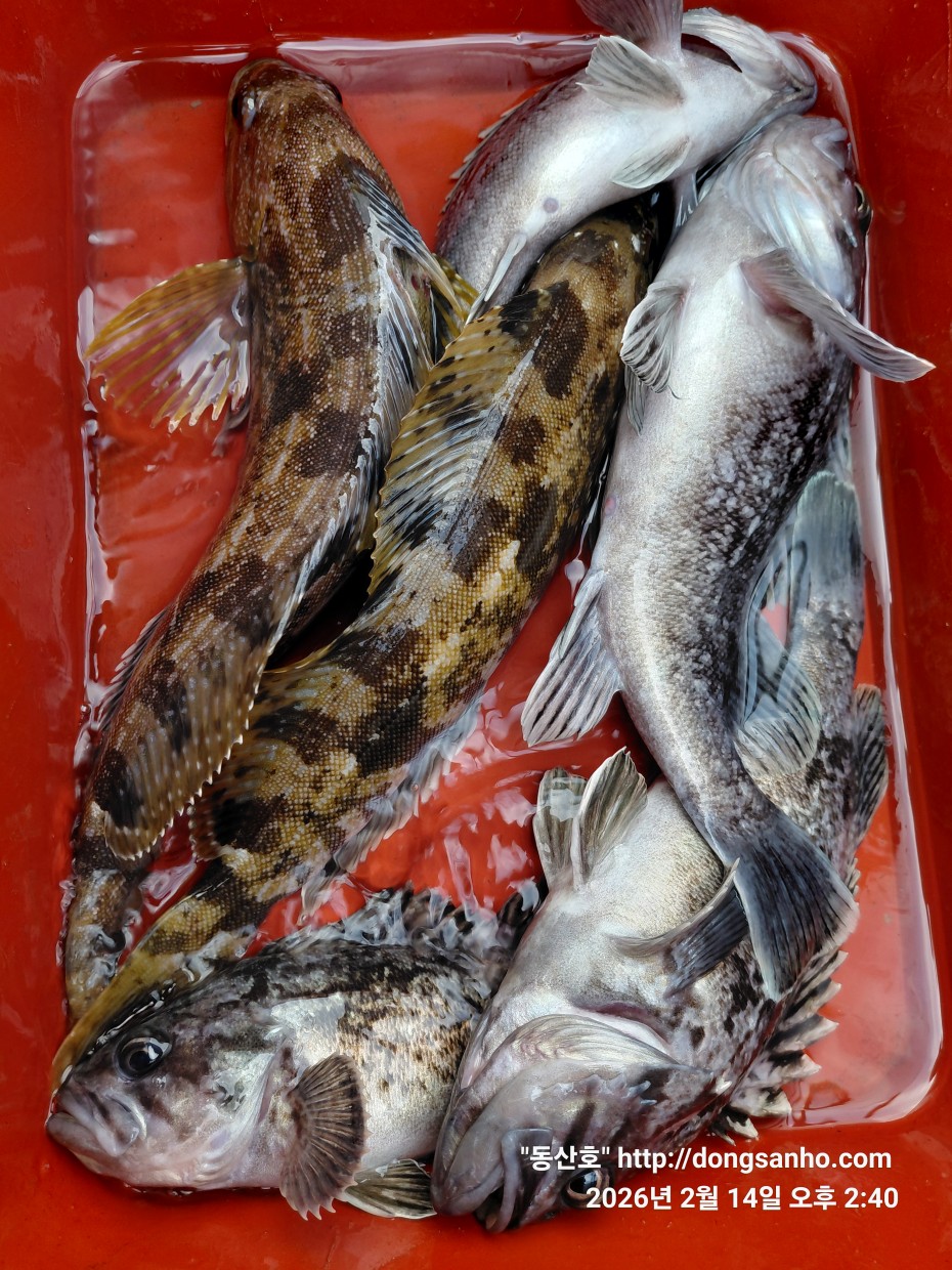 be9d0e18f39ad6e5583c32dbec4840cc_1773089