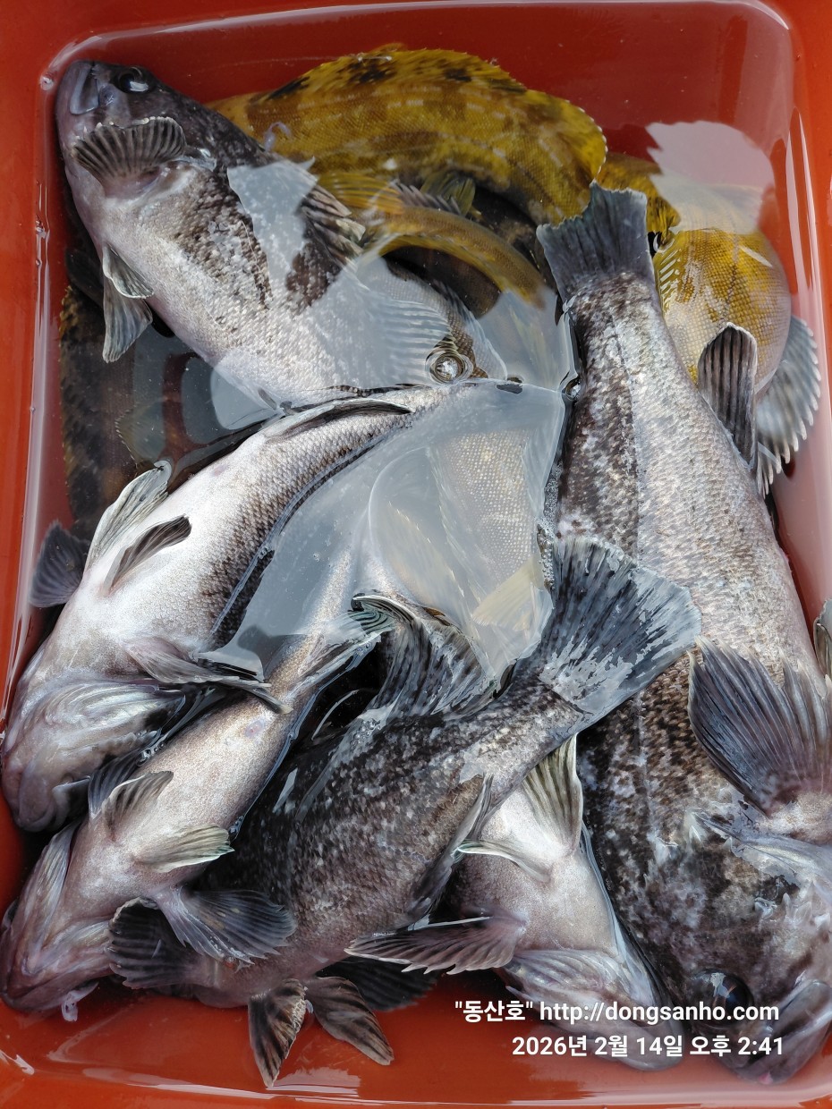 be9d0e18f39ad6e5583c32dbec4840cc_1773089