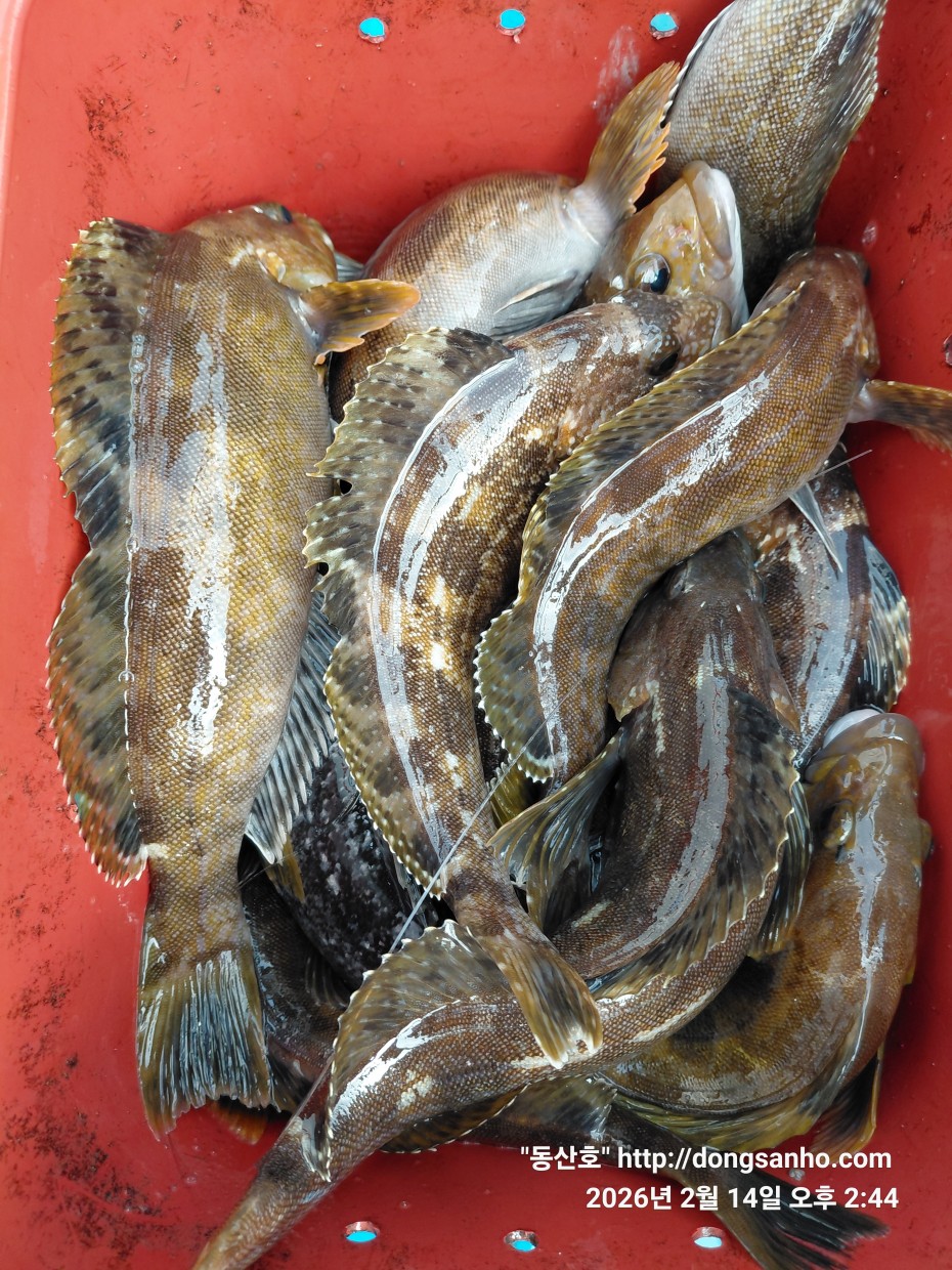 be9d0e18f39ad6e5583c32dbec4840cc_1773089