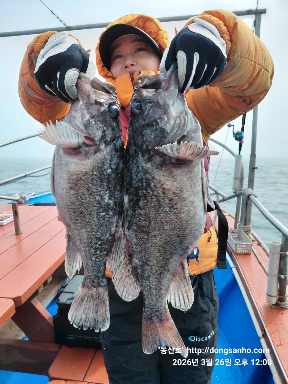 d8c7f3b9ea2ec2e451e3ae4da6047950_1774715