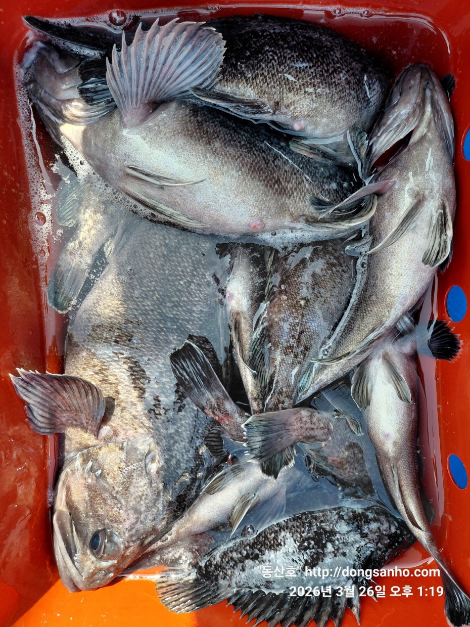 d8c7f3b9ea2ec2e451e3ae4da6047950_1774715