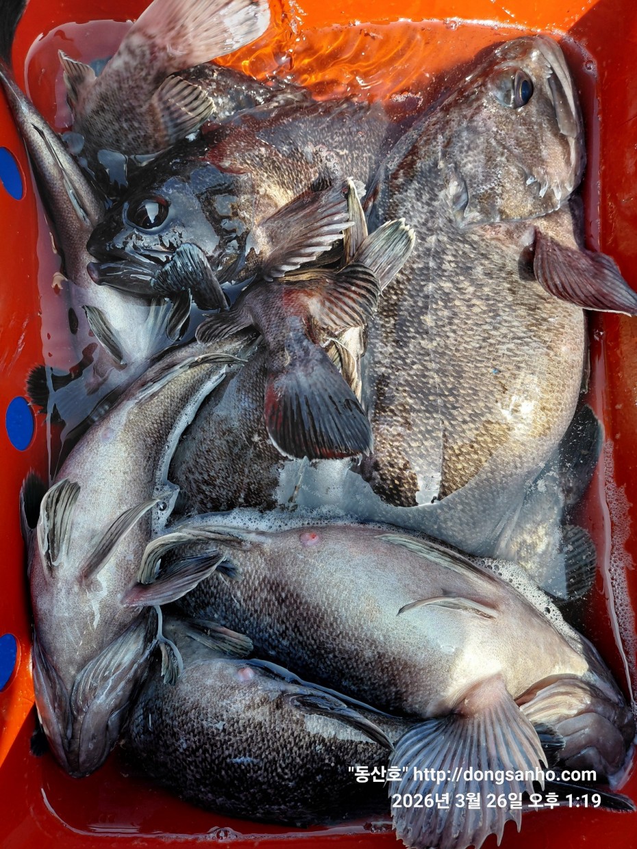 d8c7f3b9ea2ec2e451e3ae4da6047950_1774715