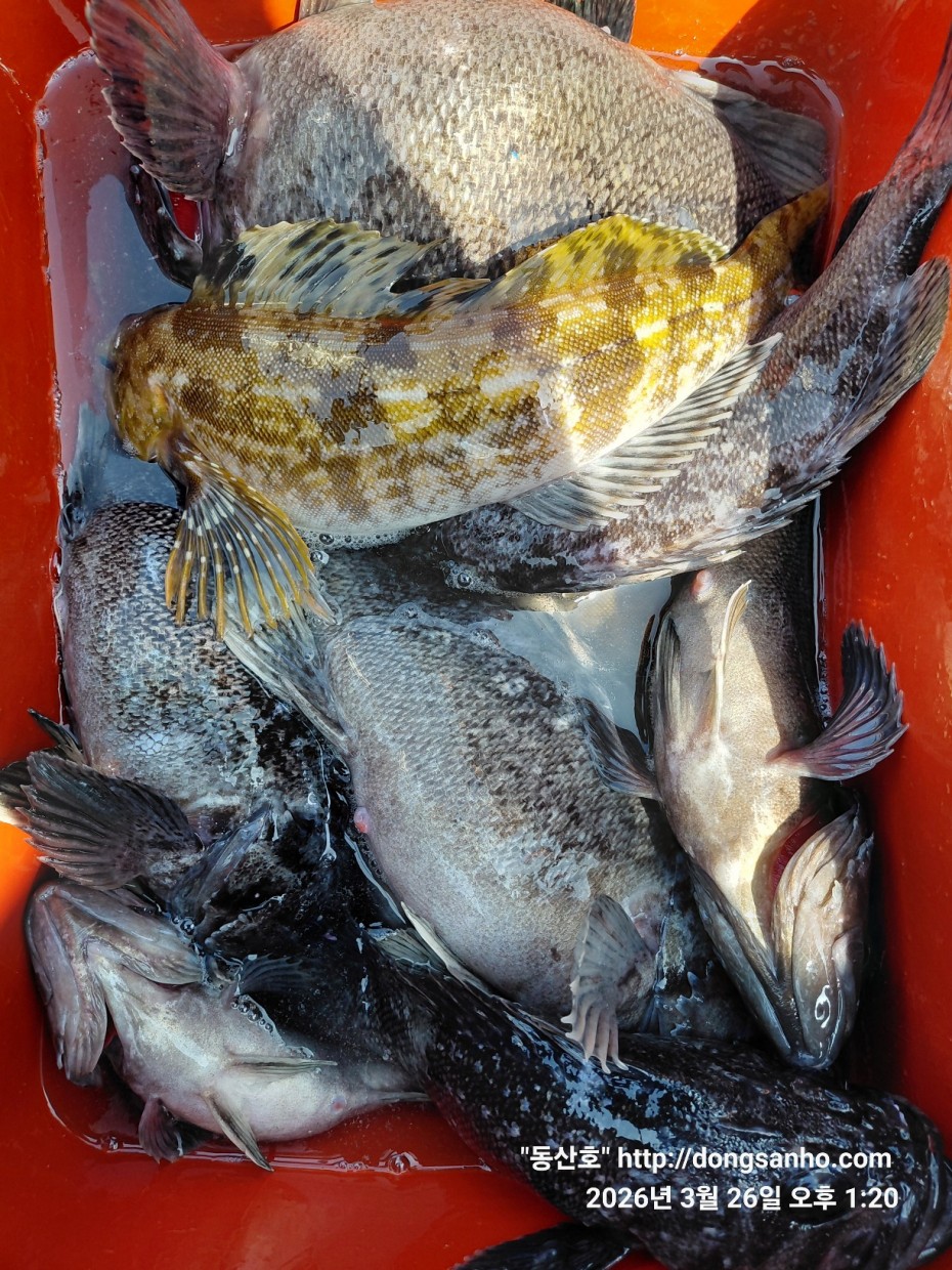 d8c7f3b9ea2ec2e451e3ae4da6047950_1774715