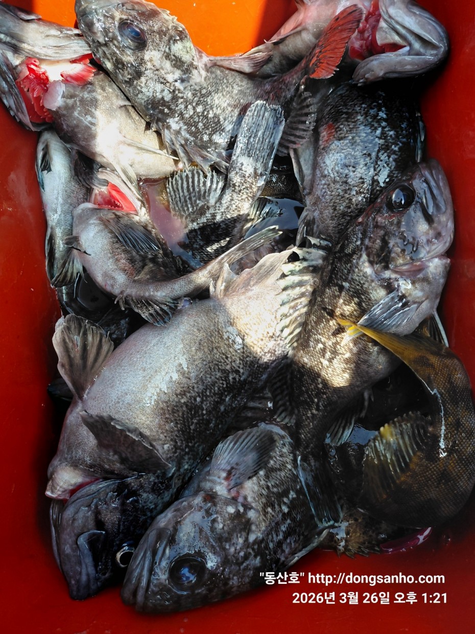 d8c7f3b9ea2ec2e451e3ae4da6047950_1774715