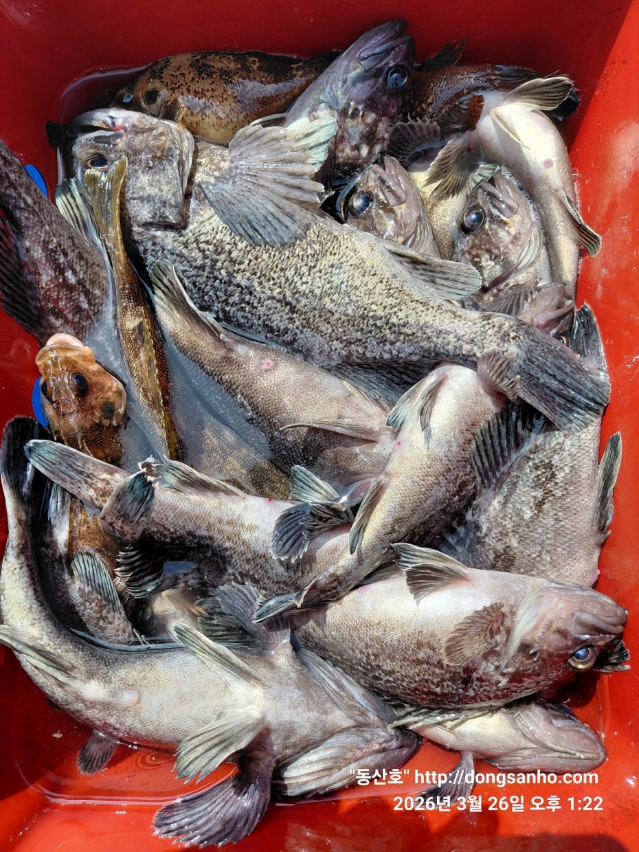 d8c7f3b9ea2ec2e451e3ae4da6047950_1774715