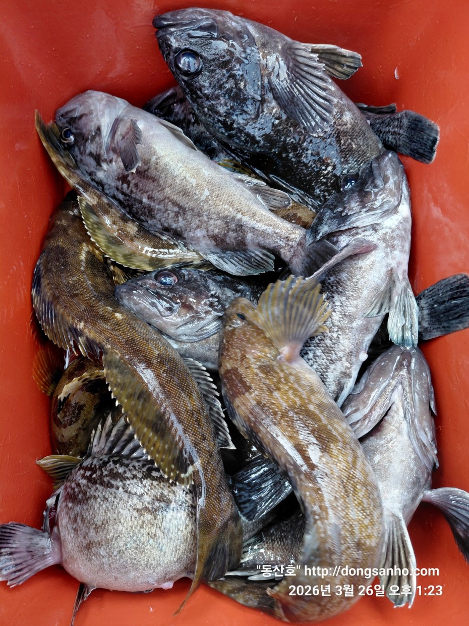 d8c7f3b9ea2ec2e451e3ae4da6047950_1774715