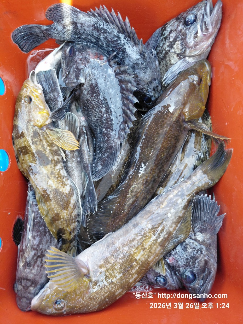 d8c7f3b9ea2ec2e451e3ae4da6047950_1774715