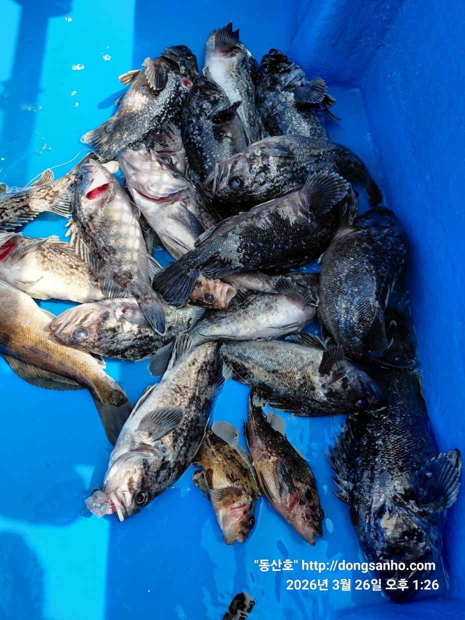 d8c7f3b9ea2ec2e451e3ae4da6047950_1774715