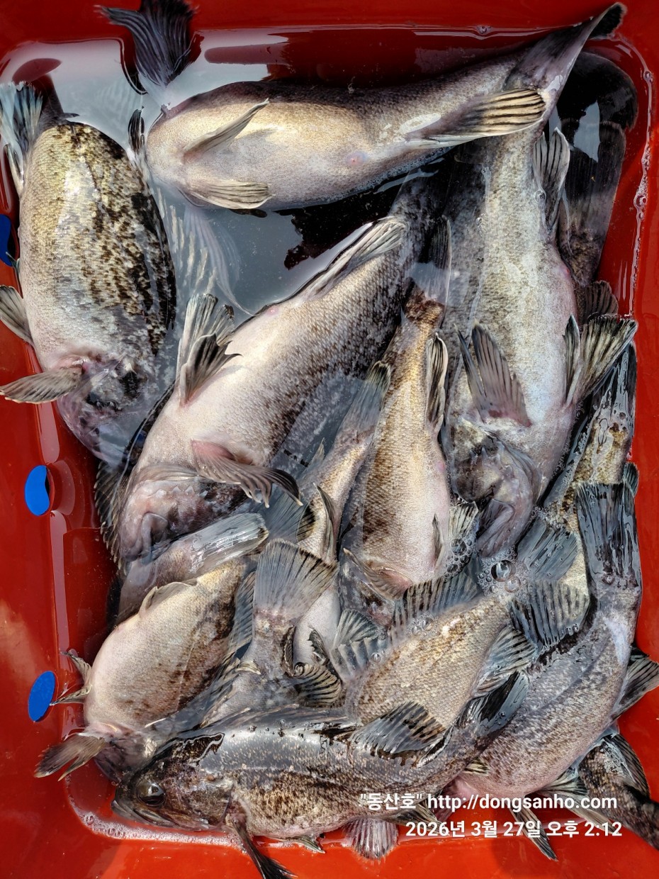 d8c7f3b9ea2ec2e451e3ae4da6047950_1774715