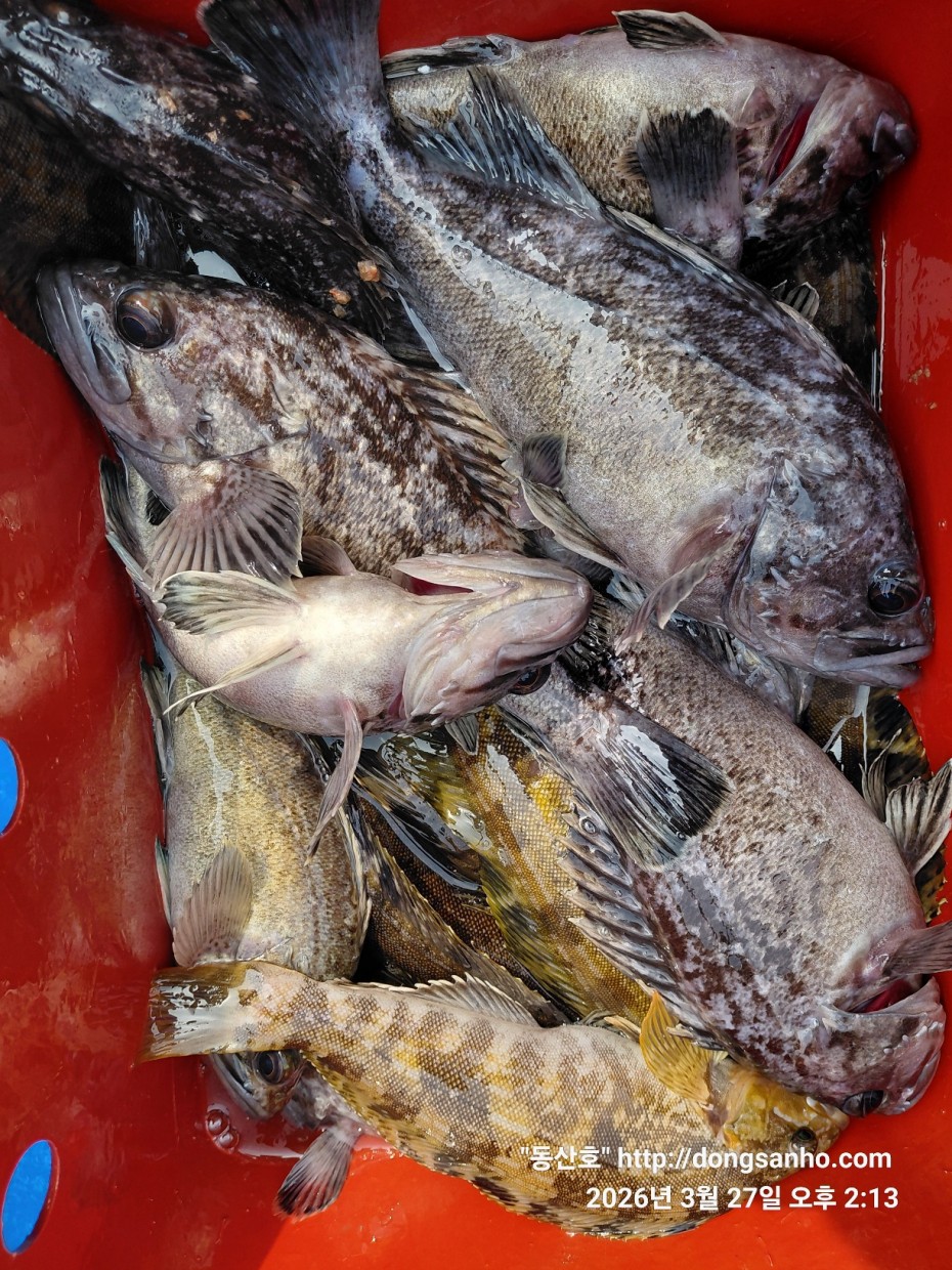 d8c7f3b9ea2ec2e451e3ae4da6047950_1774715