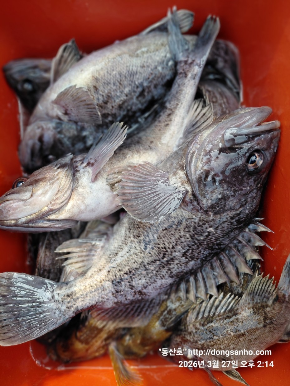 d8c7f3b9ea2ec2e451e3ae4da6047950_1774715