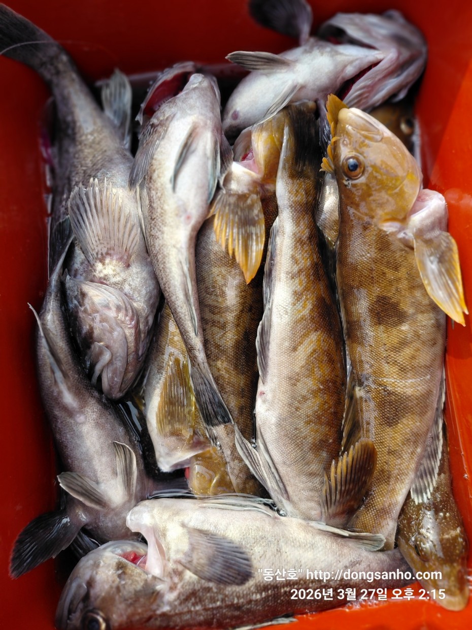 d8c7f3b9ea2ec2e451e3ae4da6047950_1774715