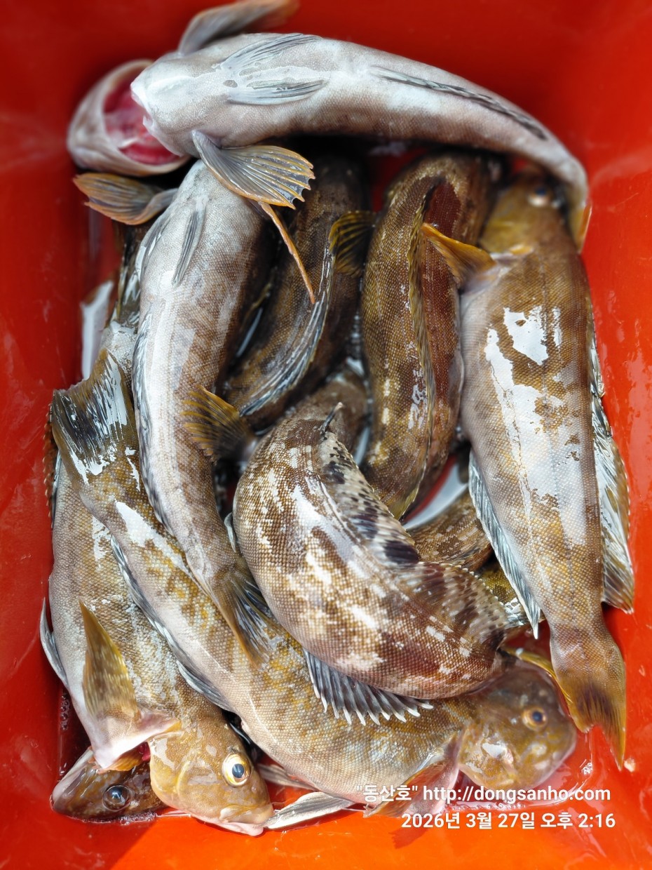 d8c7f3b9ea2ec2e451e3ae4da6047950_1774715