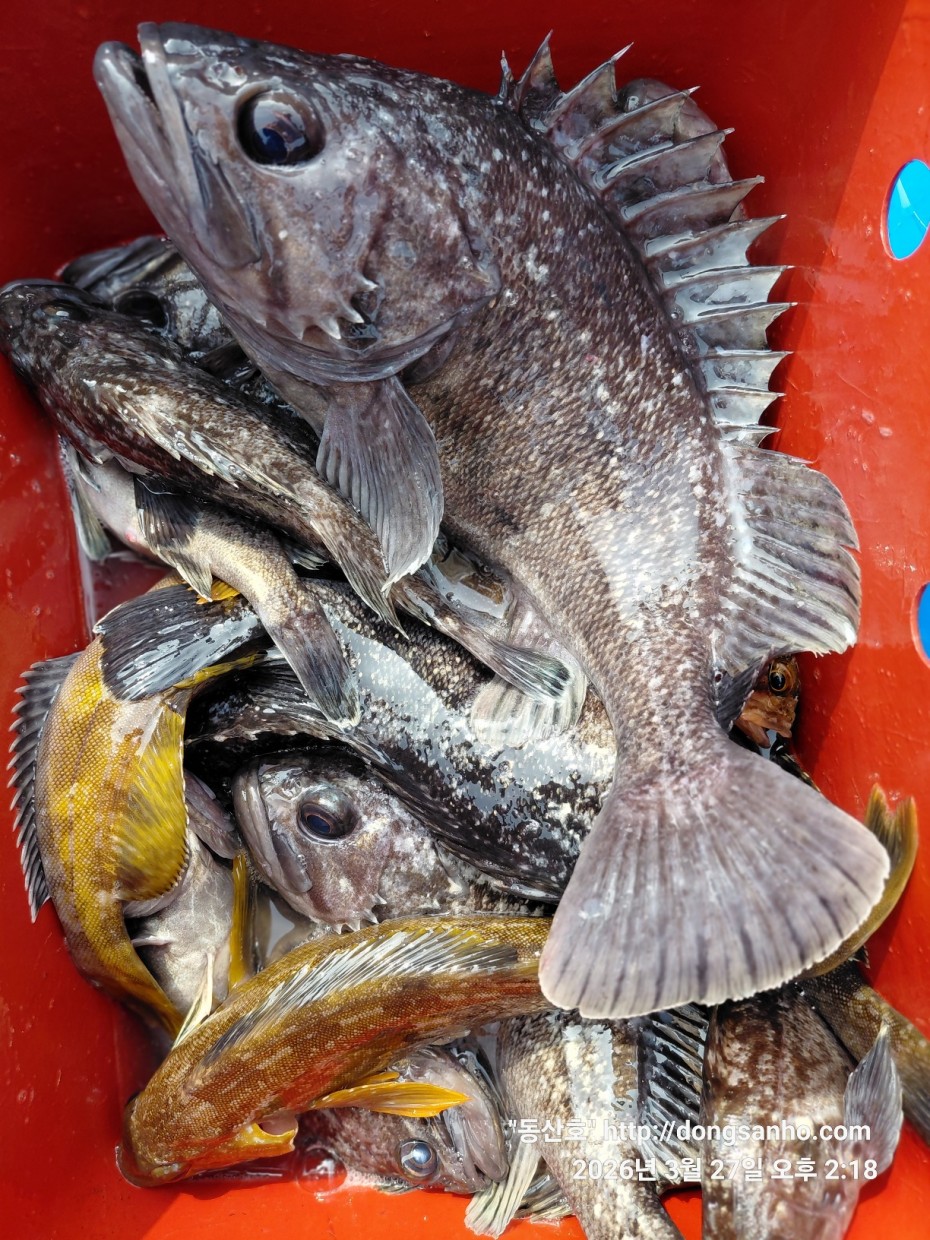 d8c7f3b9ea2ec2e451e3ae4da6047950_1774715