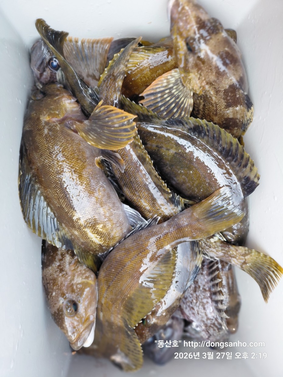 d8c7f3b9ea2ec2e451e3ae4da6047950_1774715