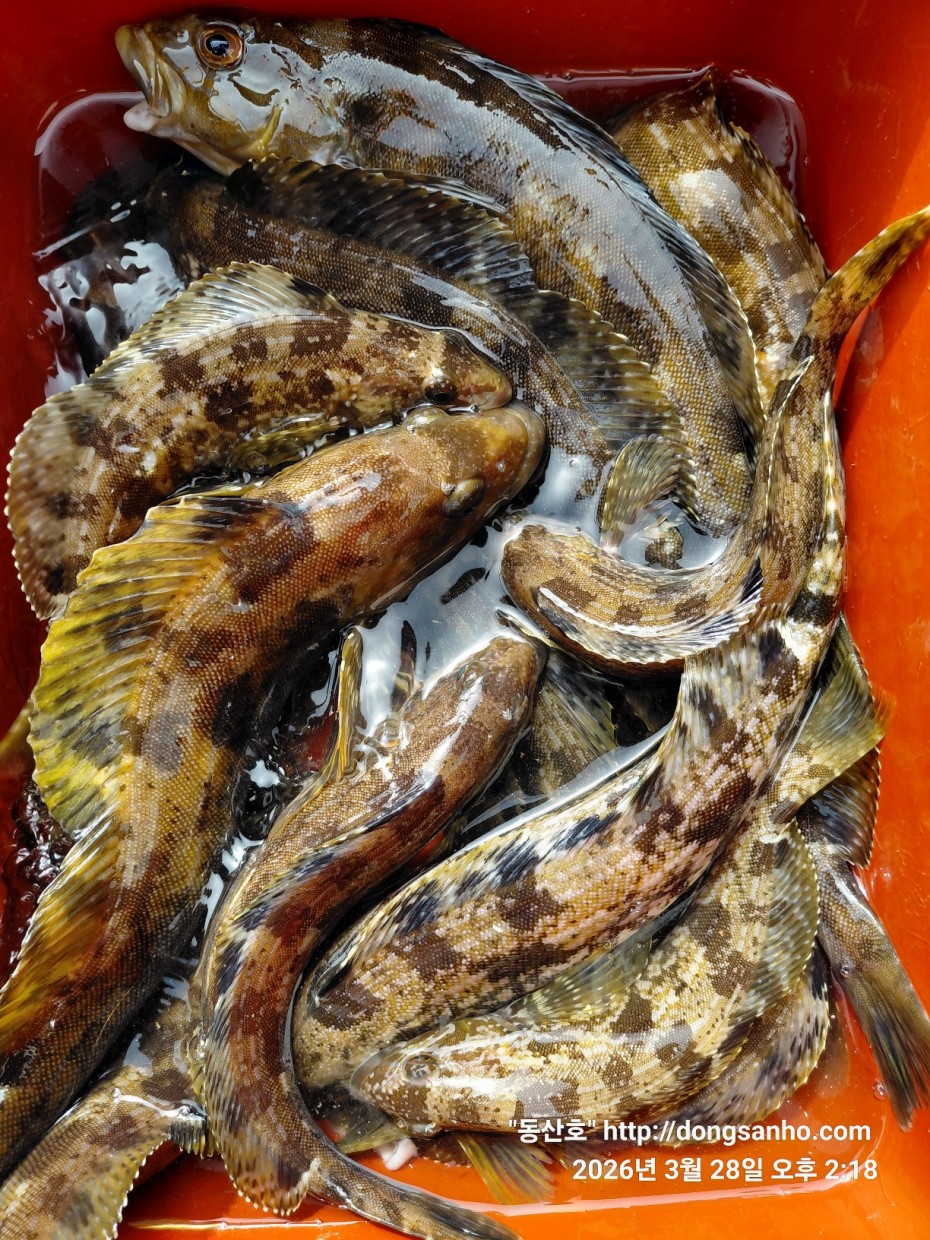 d8c7f3b9ea2ec2e451e3ae4da6047950_1774715