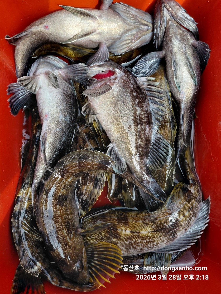 d8c7f3b9ea2ec2e451e3ae4da6047950_1774715