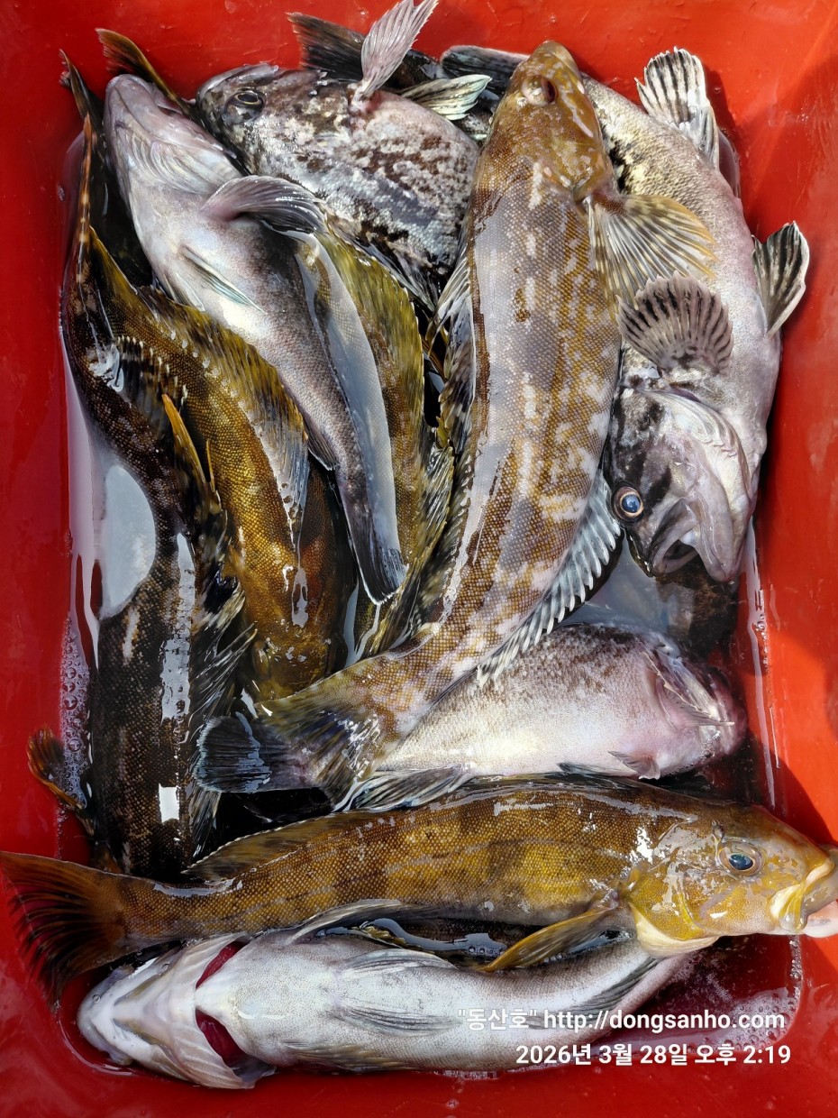 d8c7f3b9ea2ec2e451e3ae4da6047950_1774715