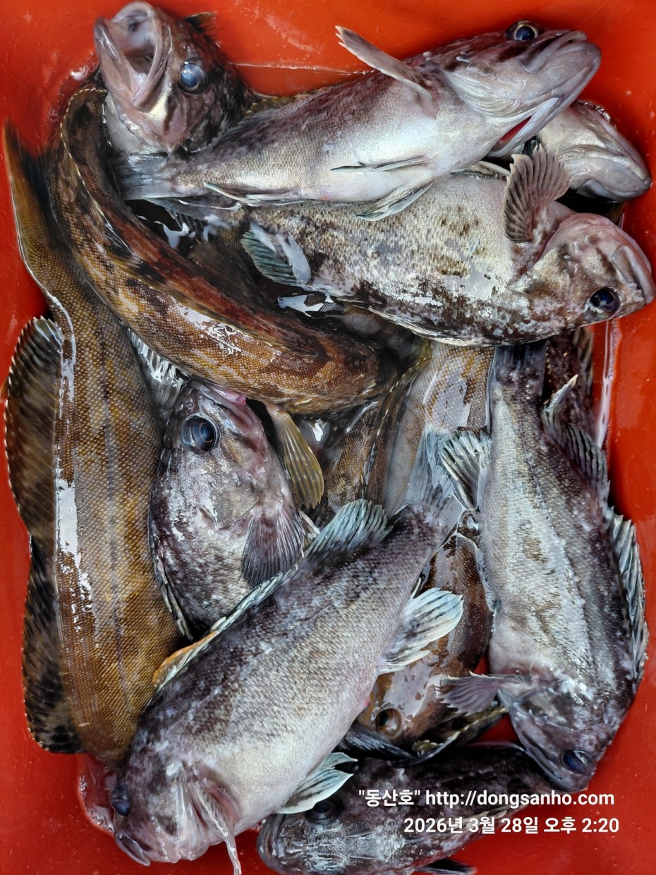 d8c7f3b9ea2ec2e451e3ae4da6047950_1774715