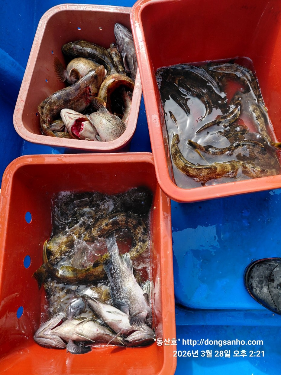 d8c7f3b9ea2ec2e451e3ae4da6047950_1774715