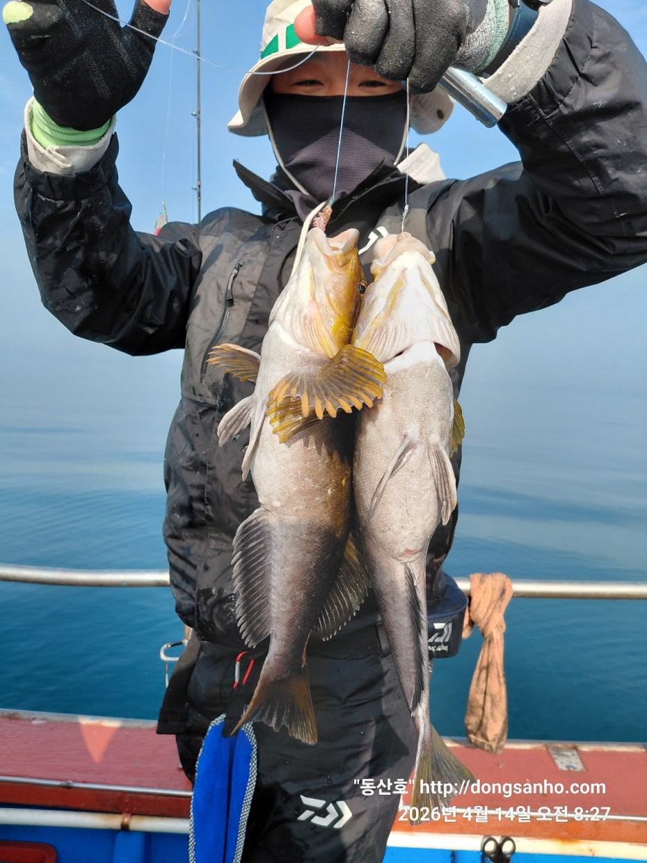 1fc0c478f22af6d4e5fb830470848fe2_1776755