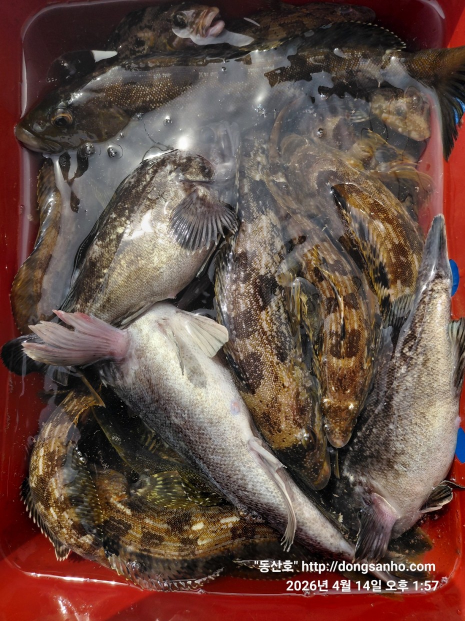 1fc0c478f22af6d4e5fb830470848fe2_1776756