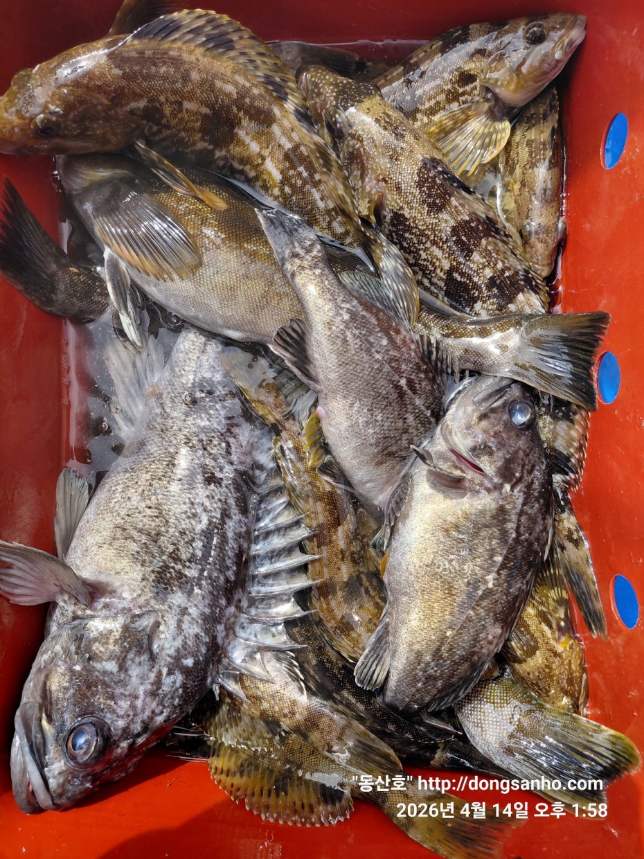 1fc0c478f22af6d4e5fb830470848fe2_1776756