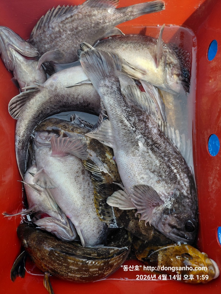 1fc0c478f22af6d4e5fb830470848fe2_1776756